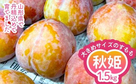 ≪先行予約令和8年度発送≫ 山形県産 大きめサイズのすもも秋姫 1.5kg 秀品 贈答品 FSY-2649