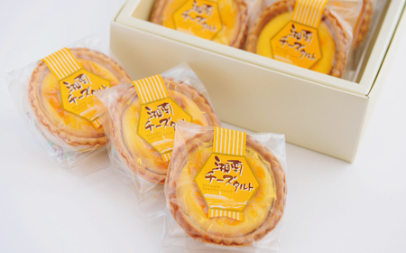 チーズタルト 10個 ｜ 湘南チーズタルト