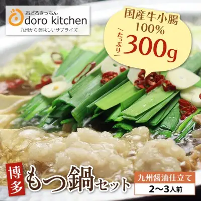 Z69-01 おどろきっちん 博多もつ鍋セット(九州醤油仕立て) 2～3人前 もつ鍋