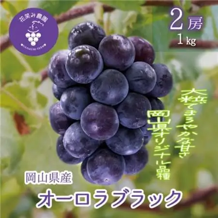 岡山　花笑み農園のブドウ『オーロラブラック』1kg(2房)　A-1【配送不可地域：離島】【1693703】