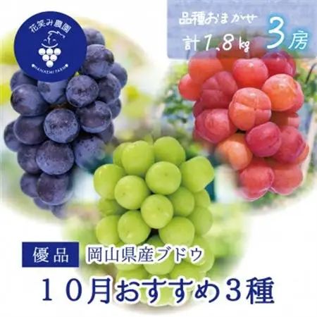 岡山　花笑み農園の『10月おすすめ3種』優品　1.8kg (3房) 3M-2L優【配送不可地域：離島】【1695418】