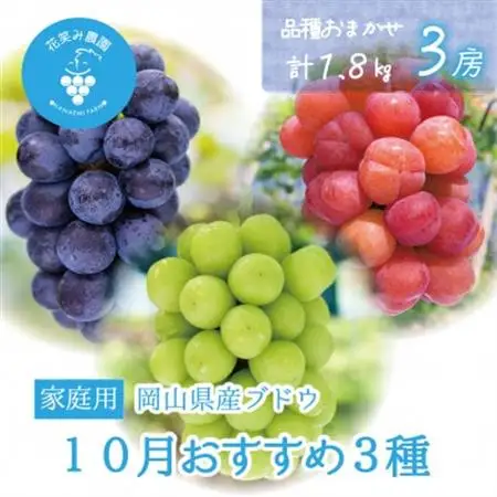 岡山　花笑み農園の『10月おすすめ3種』家庭用　1.8kg (3房) 3M-2L家【配送不可地域：離島】【1695419】