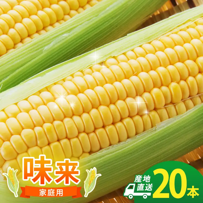 とうもろこし 味来 家庭用 20本 訳アリ トウモロコシ
