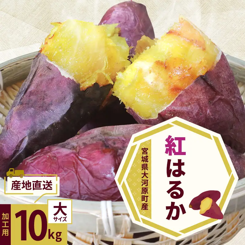 さつまいも 約10kg 紅はるか 加工用 サツマイモ