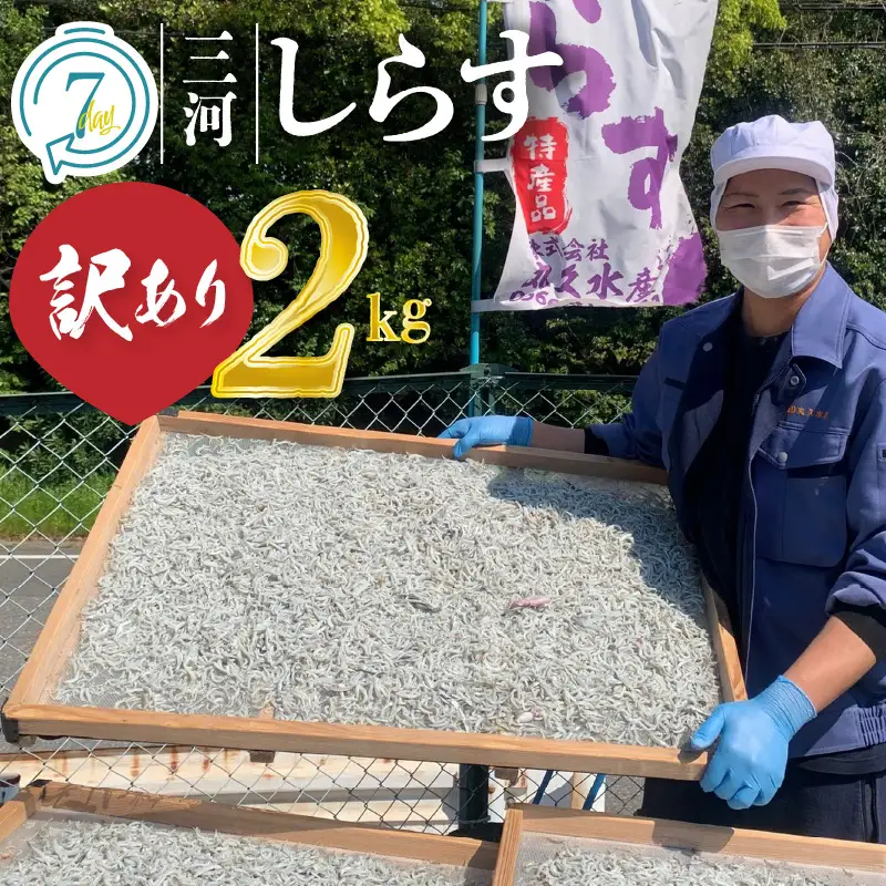 訳あり モリモリ2kg！バラエティ豊富な三河しらす～海の仲間たち～ 魚介類 しらす シラス 国産 海の幸 ご飯のお供 おつまみ しらす丼 グルメ やみつき 冷凍　H018-040