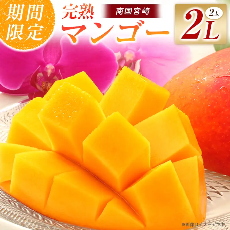 【令和9年発送 先行予約】完熟マンゴー 2L×2玉 マンゴー 