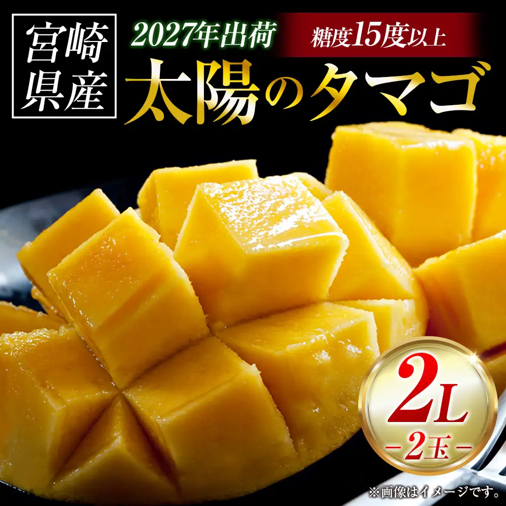 マンゴー 【2027年先行予約】完熟マンゴー「太陽のタマゴ」 2L×2玉