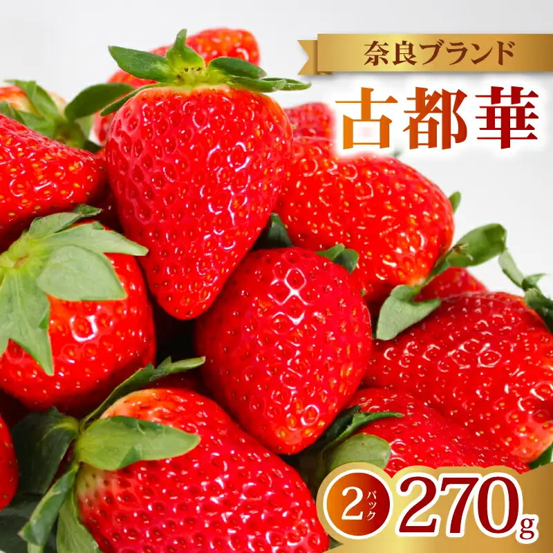 【2027年1月～発送予定】イチゴ 古都華 家庭用イチゴ 約270g×2パック