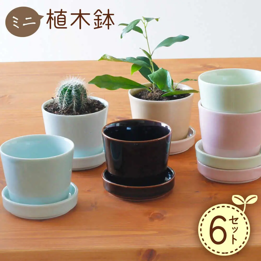【波佐見焼】 ミニ植木鉢 カラー 6色セット 【Cheer house】[AC293]