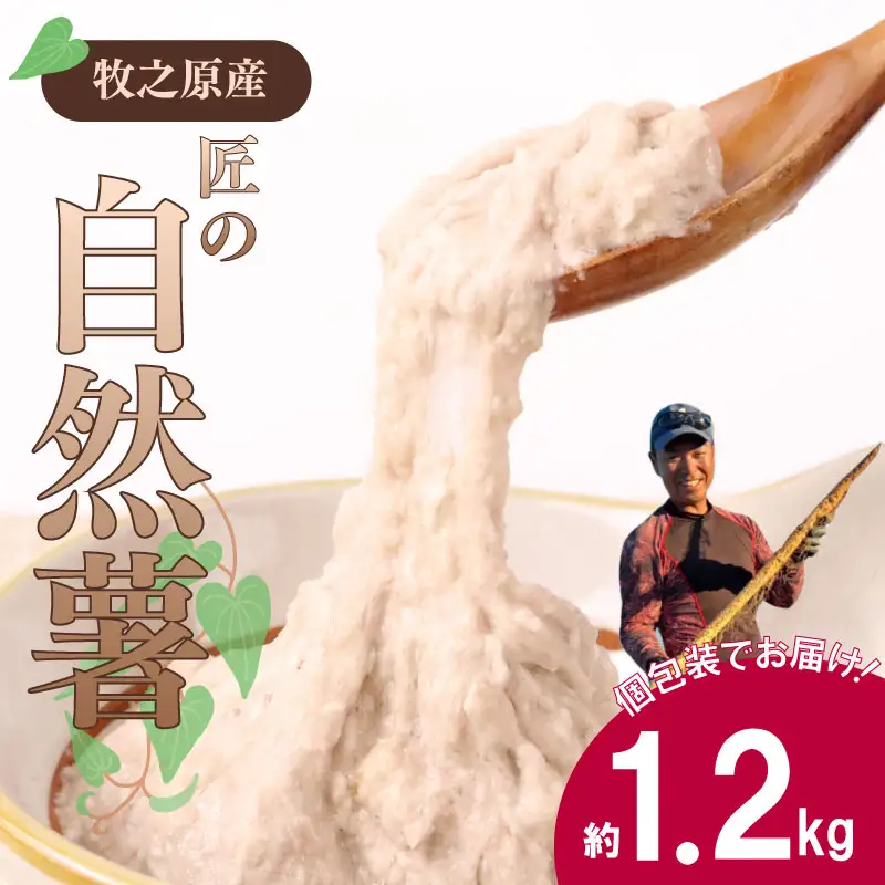 自然薯 1.2kg  個包装 静岡県 牧之原市 自然薯 たくみファーム