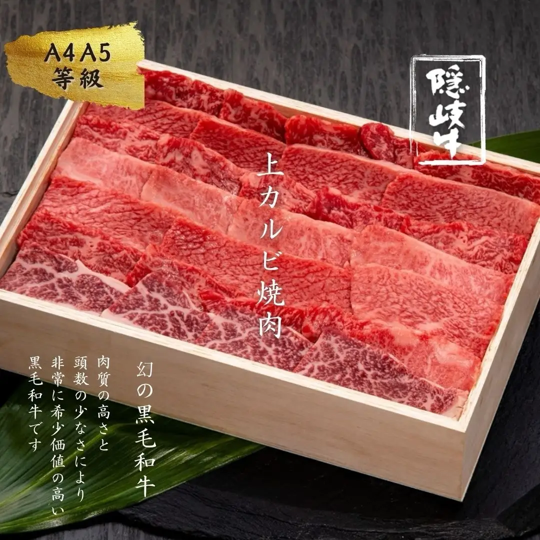 隠岐牛 カルビ 500g A5 カルビ 