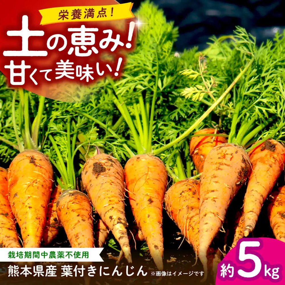 【先行予約】葉付きにんじん 約5kg　天日塩＆発酵土壌で作ったこだわりの人参 【株式会社 夢アグリ】[ZCL021]