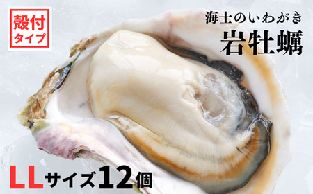 牡蠣 LLサイズ 12個 牡蠣
