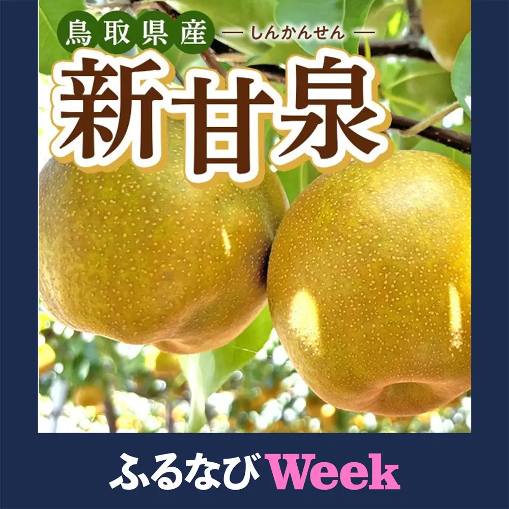 【ふるなびWEEK対象】新甘泉 3kg 先行予約 数量限定 梨