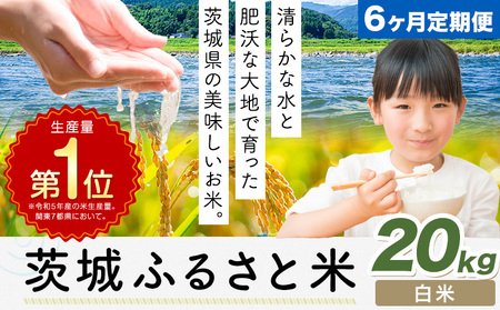 【6ヶ月定期便】米 茨城 ふるさと米 白米 20kg《申込月の翌月より出荷開始》茨城県 河内町 米 国産 お米 おこめ お弁当 おにぎり
