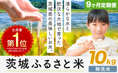 【9ヶ月定期便】米 茨城 ふるさと米 無洗米 10kg《申込月の翌月より出荷開始》茨城県 河内町 米 国産 お米 おこめ お弁当 おにぎり