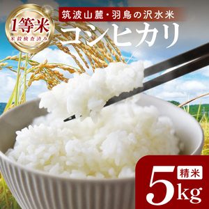 令和8年産米 筑波山麓・羽鳥の沢水米 コシヒカリ 精米 5kg【茨城県共通返礼品：桜川市】|お米 米 こしひかり 茨城県 取手市（CA001）