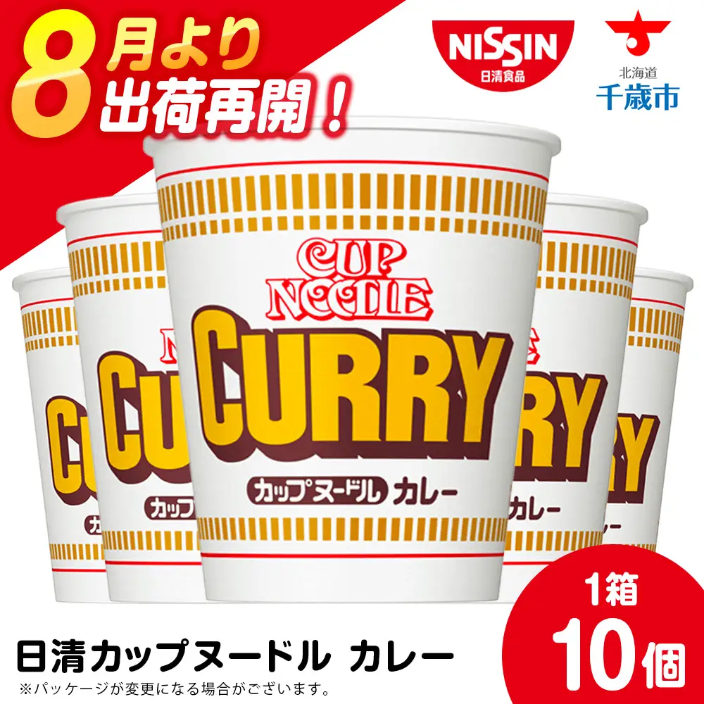 日清 カレーヌードル 10食