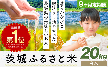 【9ヶ月定期便】米 茨城 ふるさと米 白米 20kg《申込月の翌月より出荷開始》茨城県 河内町 米 国産 お米 おこめ お弁当 おにぎり