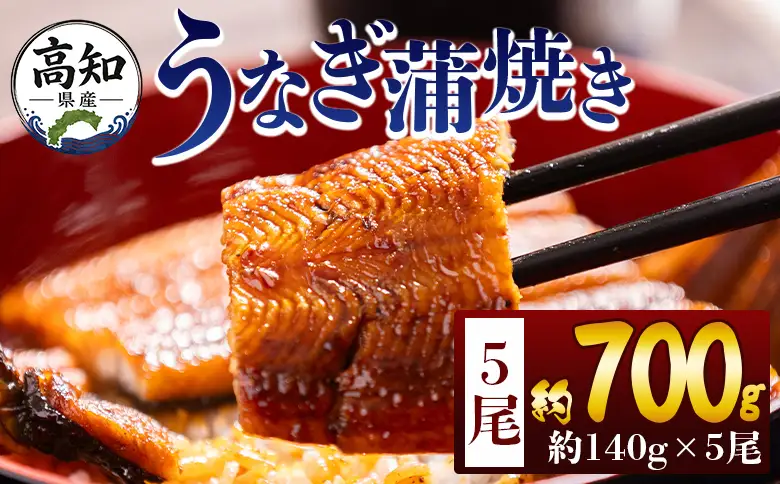 高知県産蒲焼きうなぎ 約１４０ｇ ５尾 計約７００ｇ fb-0147