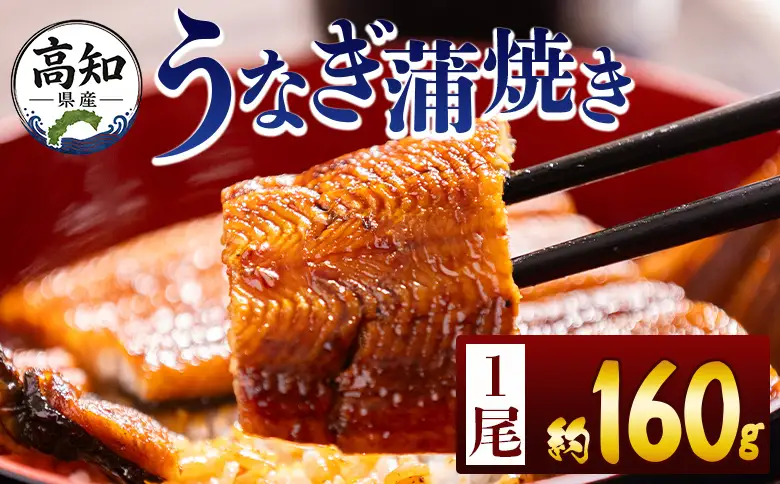 高知県産蒲焼きうなぎ １６０ｇ １尾 fb-0151