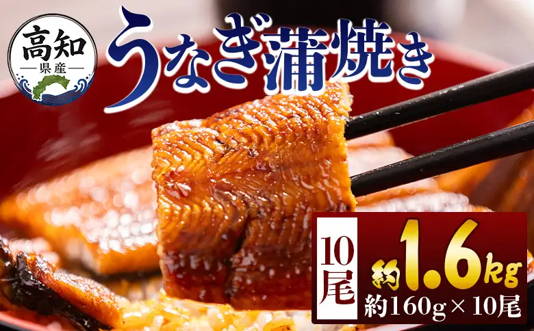 高知県産蒲焼きうなぎ １６０ｇ １０尾 計１６００ｇ fb-0158