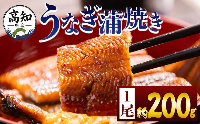 高知県産蒲焼きうなぎ ２００ｇ １尾 fb-0159