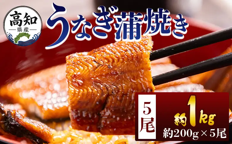 高知県産蒲焼きうなぎ ２００ｇ ５尾 計１０００ｇ fb-0162