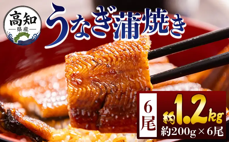 高知県産蒲焼きうなぎ ２００ｇ ６尾 計１２００ｇ fb-0163
