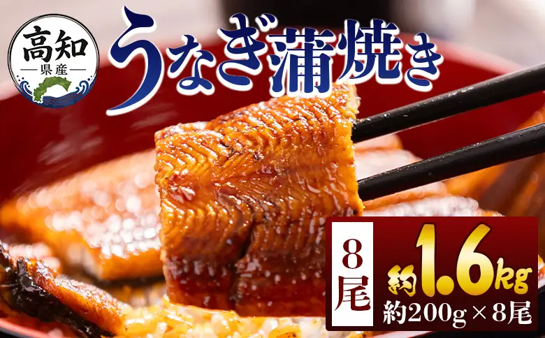 高知県産蒲焼きうなぎ ２００ｇ ８尾 計１６００ｇ fb-0164