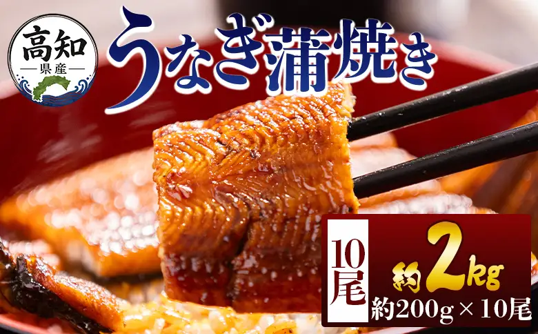 高知県産蒲焼きうなぎ ２００ｇ １０尾 計２０００ｇ fb-0165