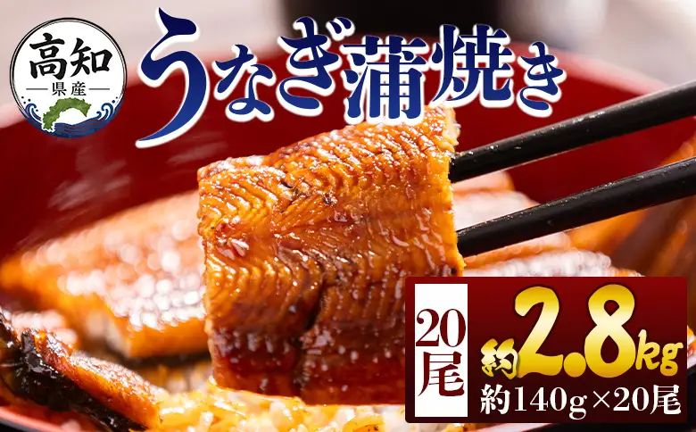 高知県産蒲焼きうなぎ 約１４０ｇ ２０尾 計約２８００ｇ fb-0182