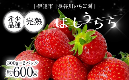 【先行予約】完熟いちご ほしうらら 約600g いちご イチゴ 苺 デザート フルーツ 果物 くだもの 果実 食品 F21C-298
