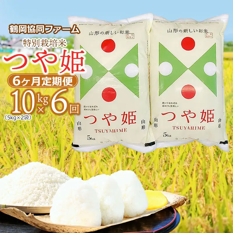【令和8年産先行予約】特別栽培米つや姫 10kg (5kg×2袋)×6ヶ月【定期便】　鶴岡協同ファーム 