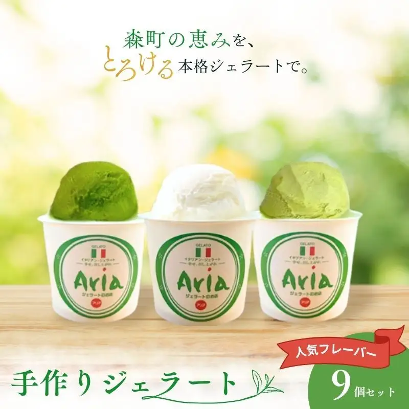 ジェラート 手作り 人気フレーバー 9個セット 詰合せ ジェラート