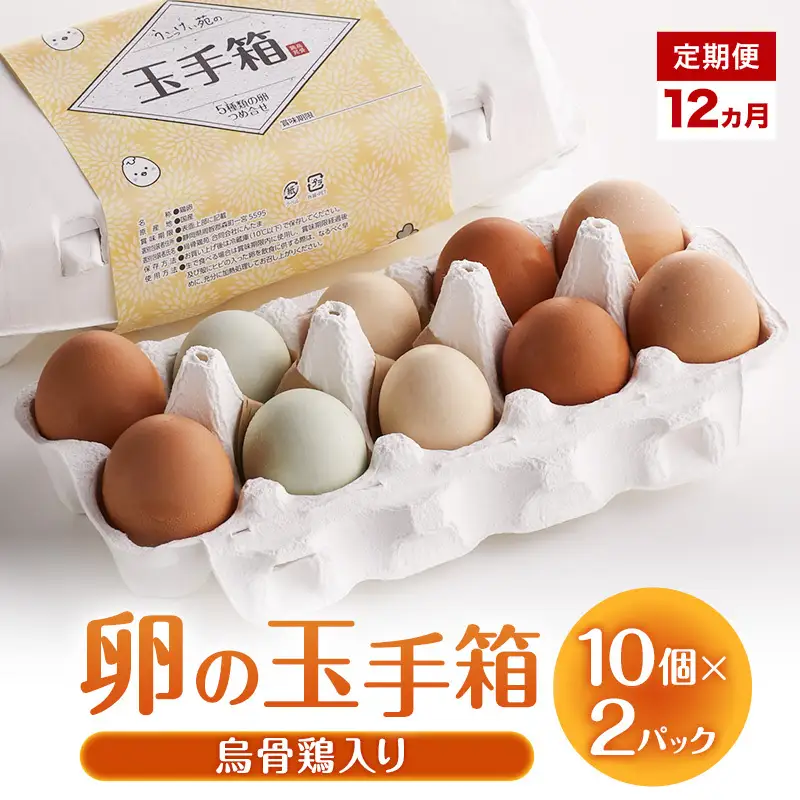 卵 卵の玉手箱 10個×2パック 12ヵ月 定期便 卵