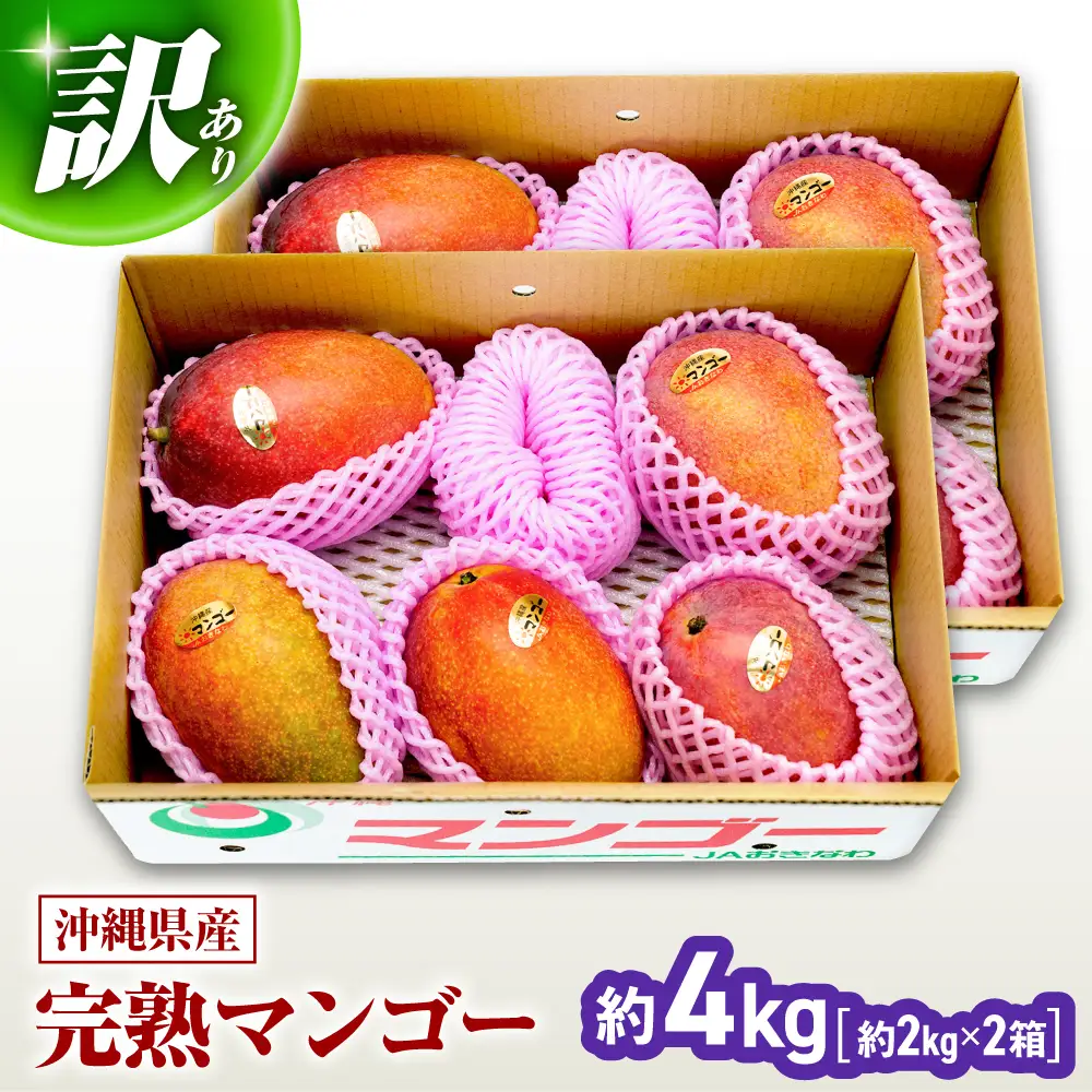 マンゴー 【2027年発送】訳ありマンゴー 沖縄 約4kg BCAA007