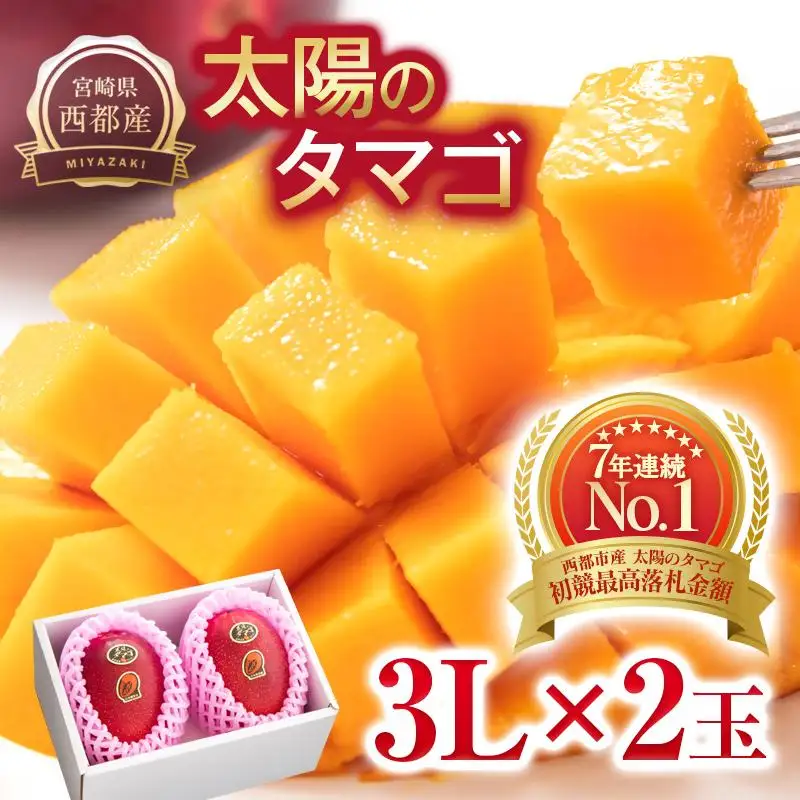 【先行予約】最高級ブランド『太陽のタマゴ』大玉 3L×2個【糖度15度以上】宮崎県西都市産完熟マンゴー＜71-1a＞2026年発送