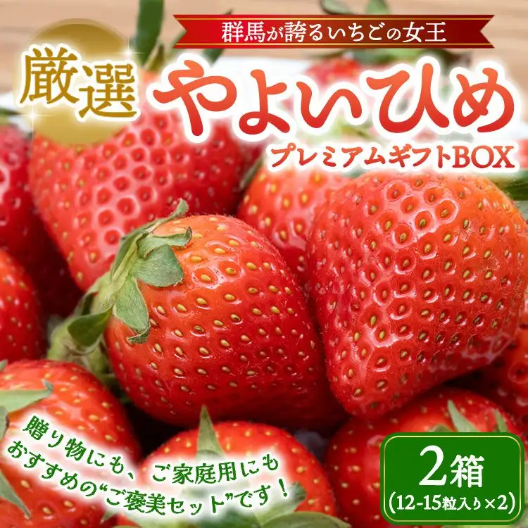 厳選 やよいひめ プレミアムギフトBOX 2箱 （3～4月発送） | いちご 大粒 高糖度 果物 フルーツ 苺 イチゴ くだもの 新鮮 朝採れ 朝どれ ギフト プレゼント 贈り物 国産 群馬県 伊勢崎市 ※2027年3月～発送