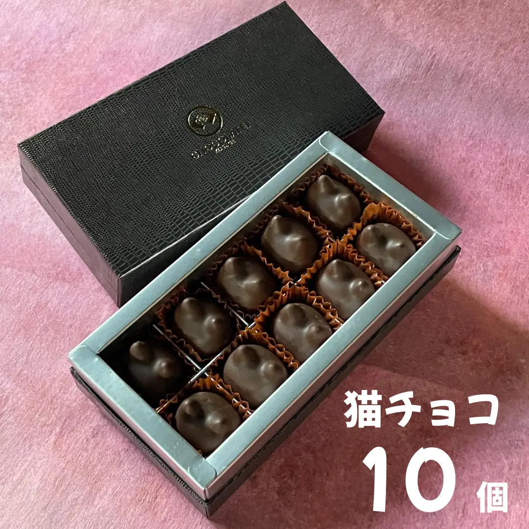 しょこら亭 猫チョコ（jomon）10個入り お菓子 菓子 スイーツ チョコレート 贈答 1Z34019