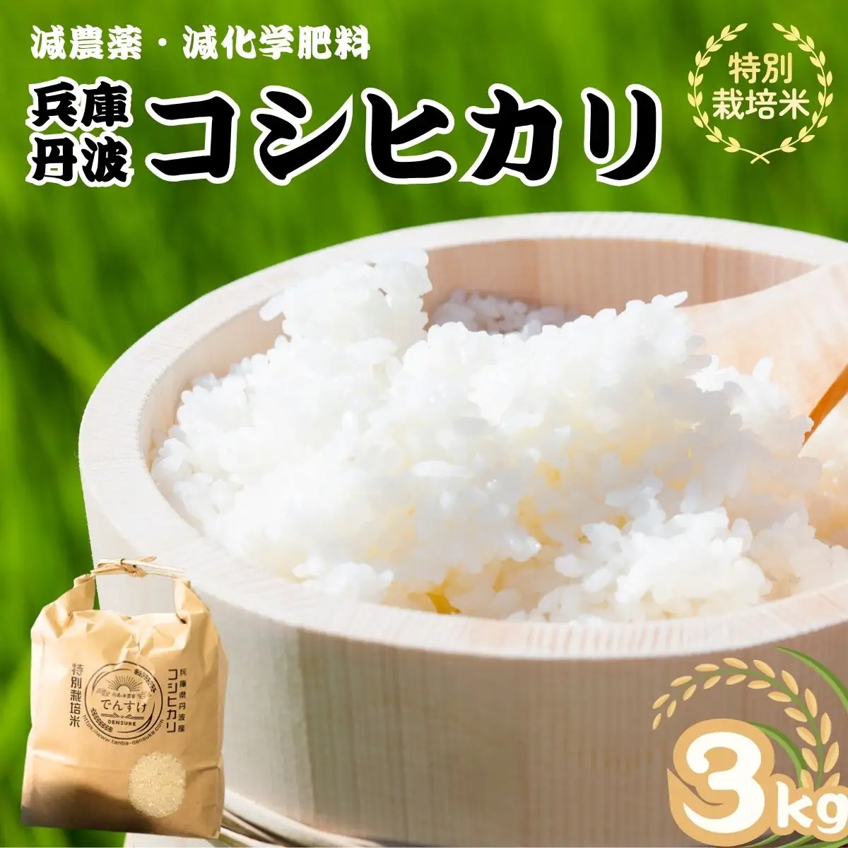 特別栽培米 丹波コシヒカリ 3kg 〈丹波市産〉〈精米仕立て〉 白米 コシヒカリ