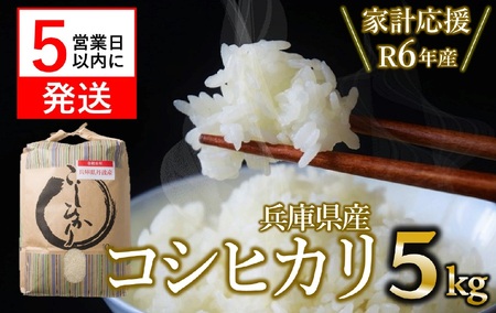 【数量限定_家計応援】令和6年産 コシヒカリ 白米5kg 数量限定【5営業日以内発送】(10-112)