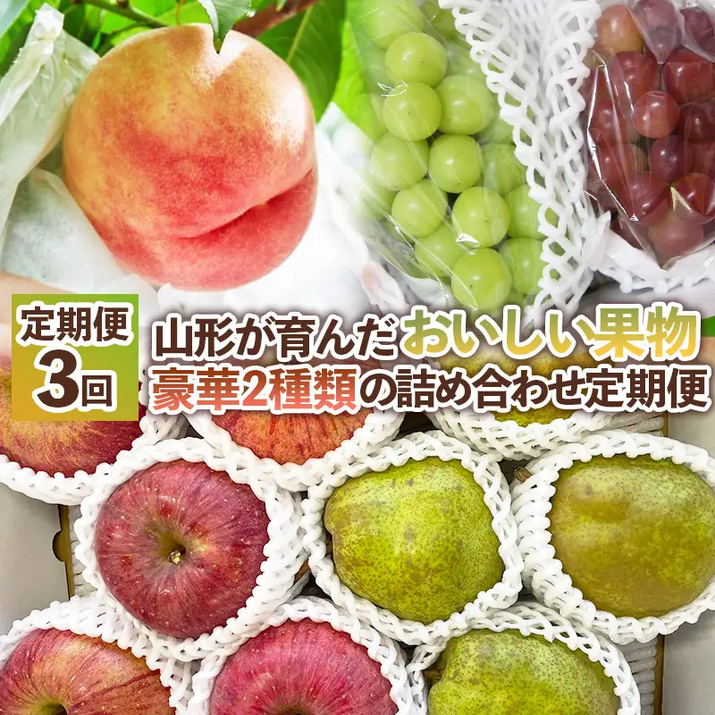【定期便3回】山形が育んだおいしい果物 豪華２種類の詰め合わせ定期便【令和8年産先行予約】FS25-139