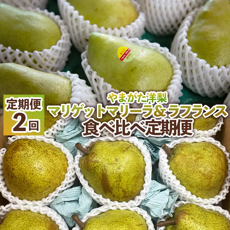 【定期便2回】やまがた洋梨 マリゲットマリーラ＆ラフランス食べ比べ定期便【令和8年産先行予約】FS25-140