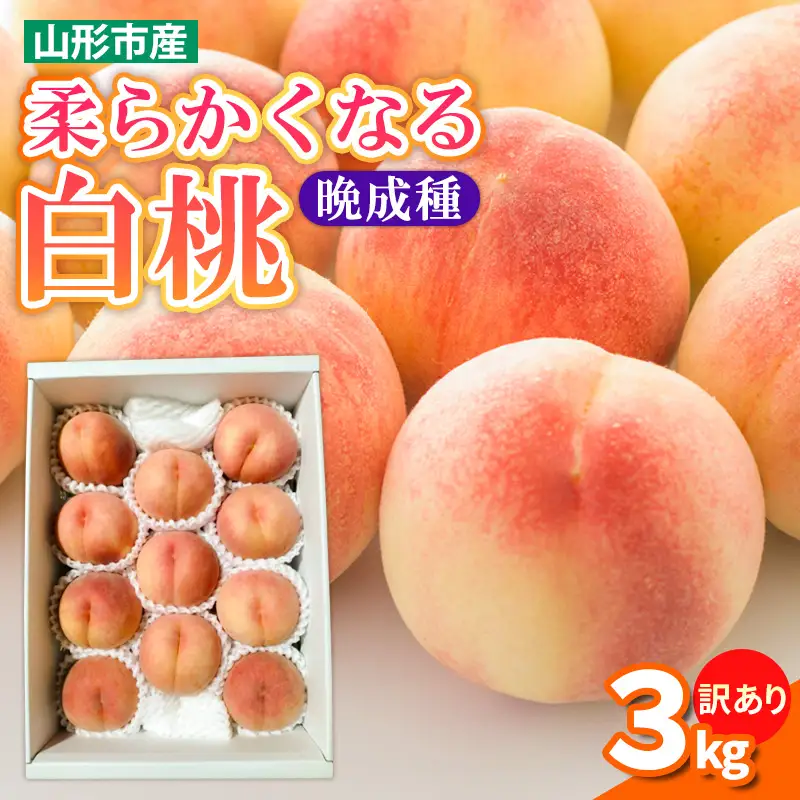【訳あり】柔らかくなる 白桃 優品 晩成種 3kg (7個～14個)【令和8年産先行予約】FS25-146