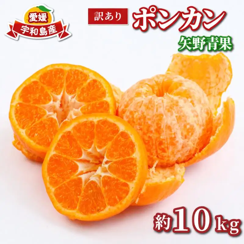【宇和島産ポンカン】冬の柑橘ポンカン 10kg 矢野青果 B012-171031