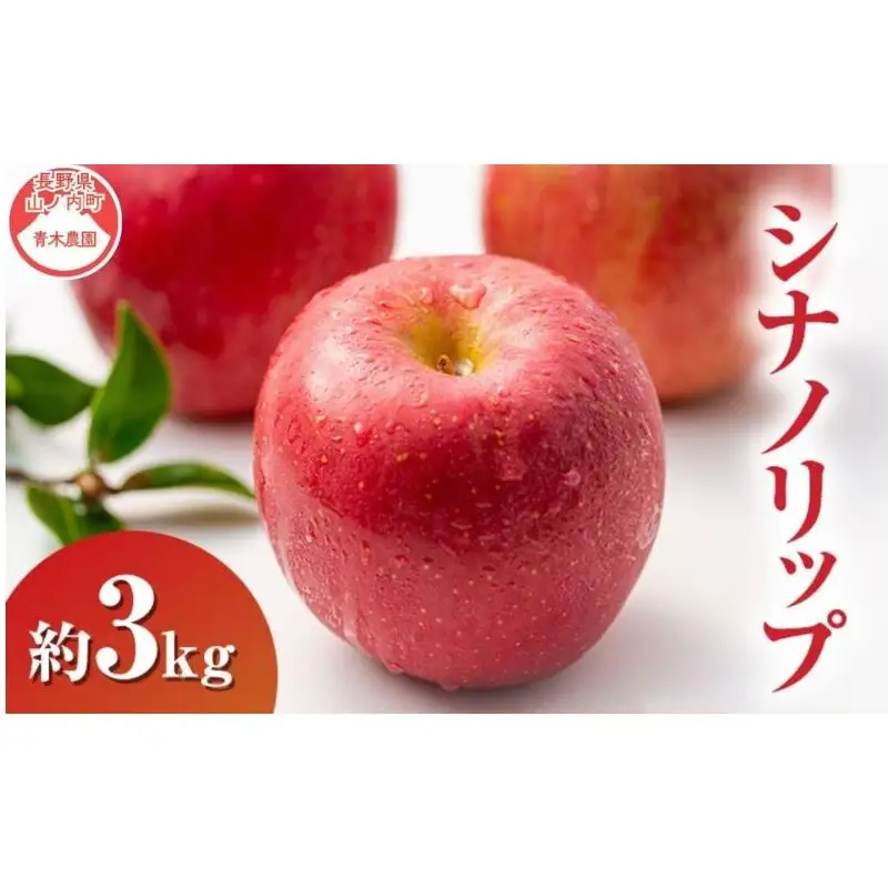 りんご シナノリップ 3kg 長野県産 りんご