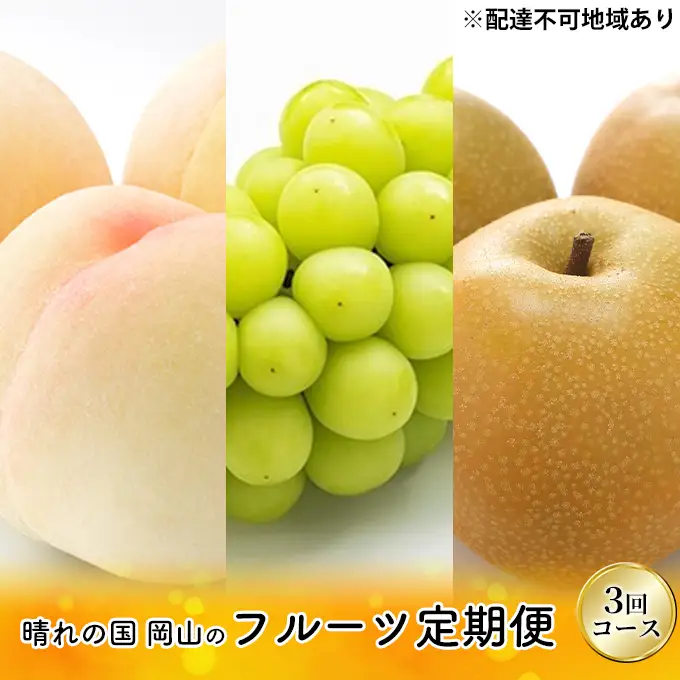 フルーツ 桃 ぶどう 梨 岡山県産 フルーツ【定期便3回】【先行予約】