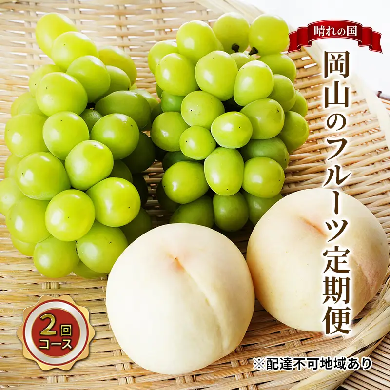 フルーツ 桃 ぶどう 岡山県産 フルーツ【定期便2回】【先行予約】