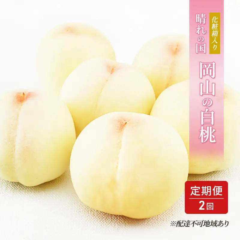 白桃 化粧箱入り 岡山県産 白桃【各6玉】【定期便2回】